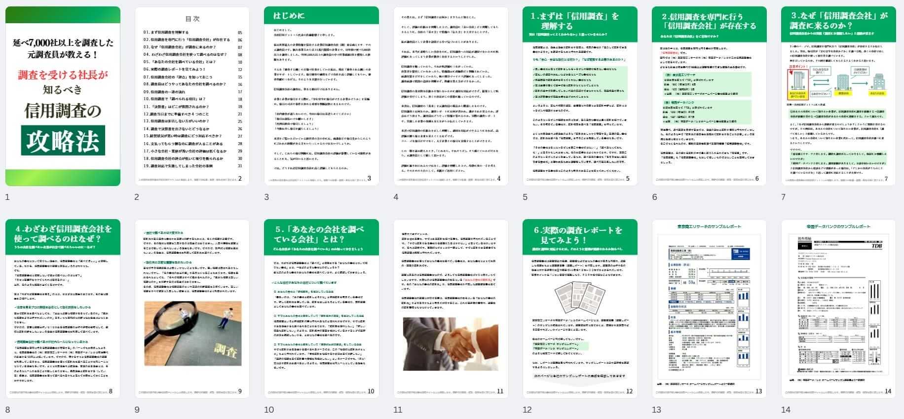 元調査員が教える!信用調査の攻略法サンプル画像|会社信用ドットコム